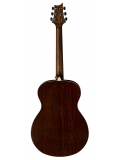 SE T40E (Tobacco Sunburst), зображення 3